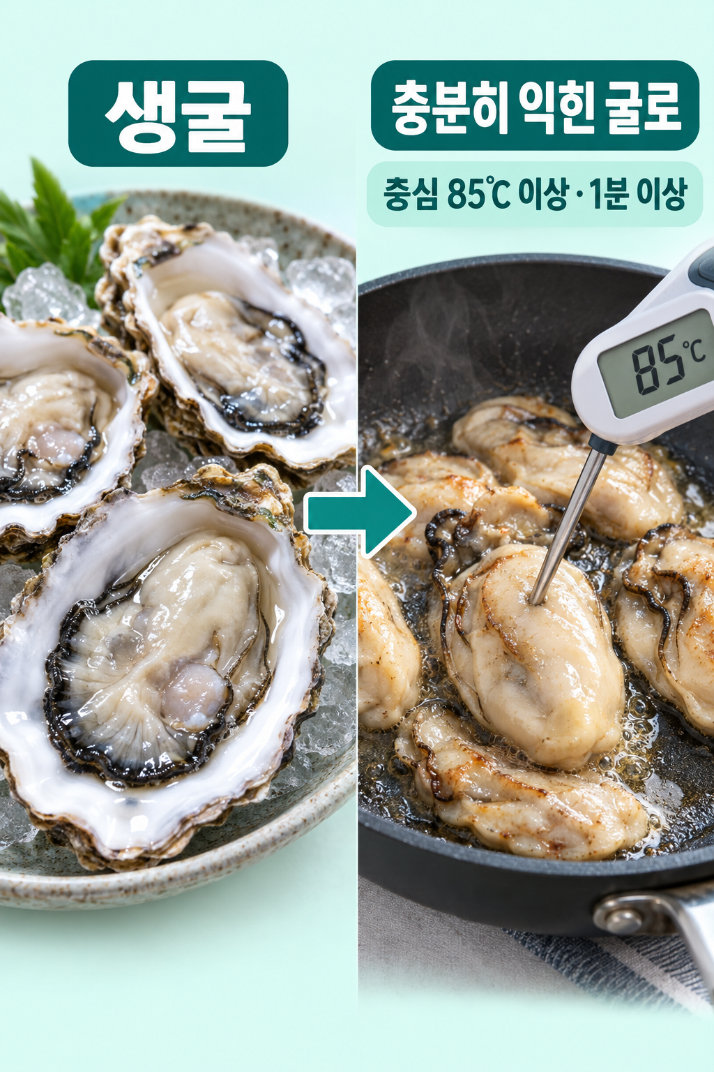 생굴 실사 인포그래픽. 날것: 생굴; 조리 변경: 속까지 충분히 익힌 굴; 국내 가열 기준: 중심 85℃이상·1분이상