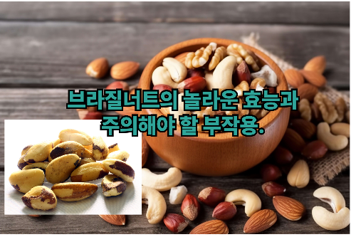 브라질너트- 효능과- 부작용