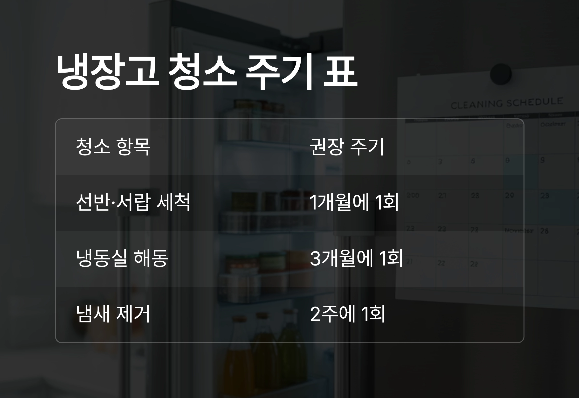 요리 초보를 위한 냉장고 청소 완벽 체크리스트 공개