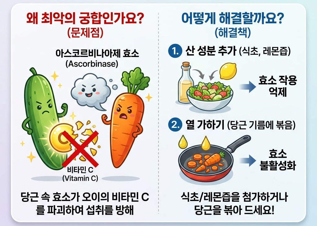 오이 효능