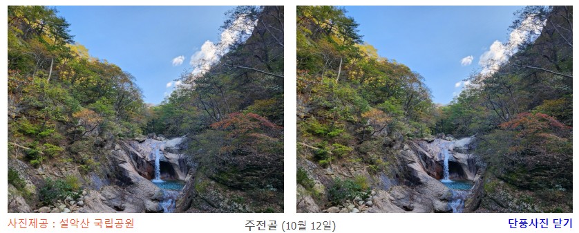 주전골