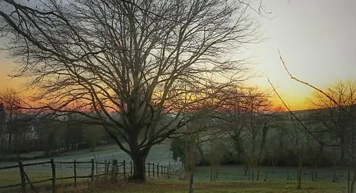 산업안전기사 시험 일정과 합격률