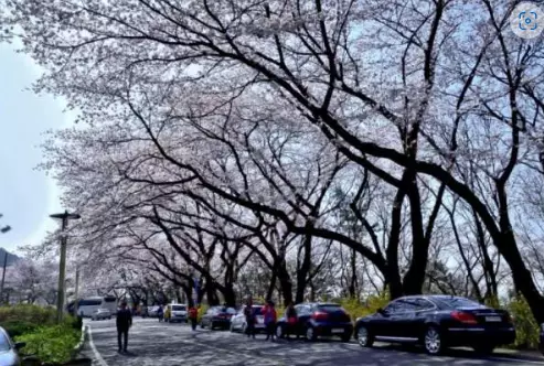 장복산