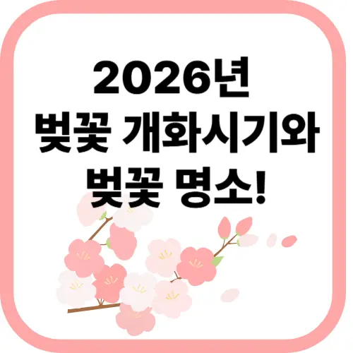 벚꽃