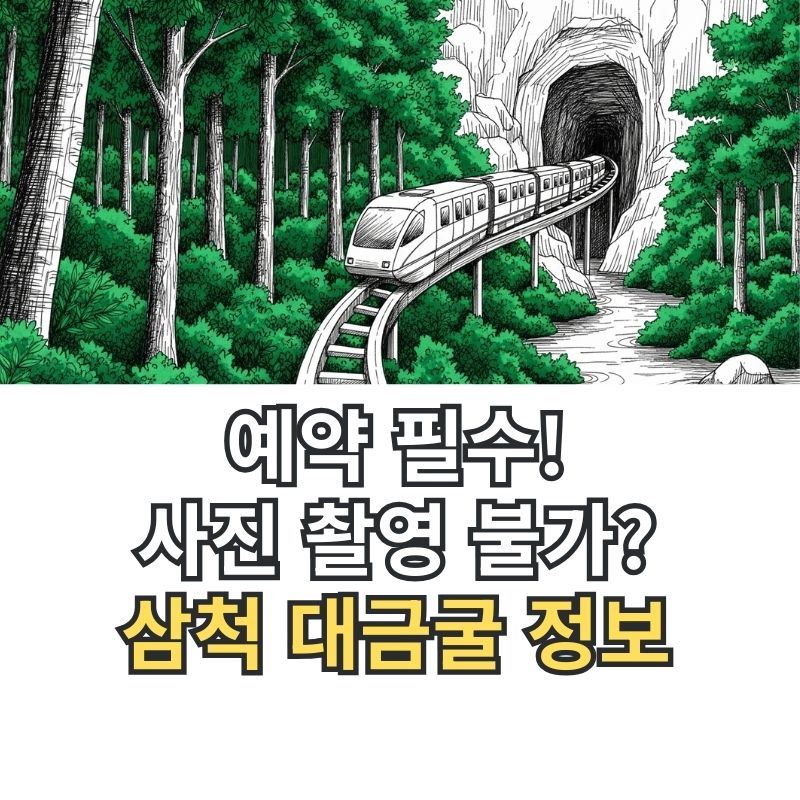 삼척 대금굴 모노레일과 숲속 풍경