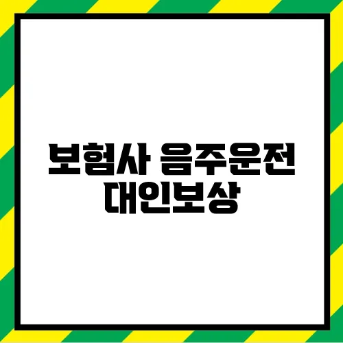 보험사 음주운전 대인보상