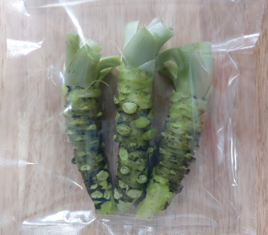 6시내고향 고추냉이 잎 꽃대 근경 생와사비 정가농원