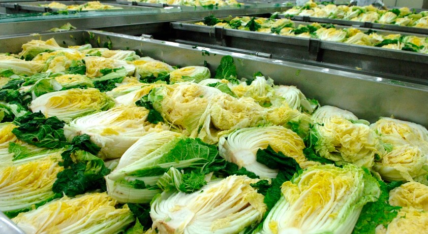 절임배추 20kg 구매 및 보관