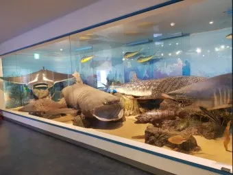 아이와 제주 여행 제주 민속 자연사박물관 예매 코스 가이드_22