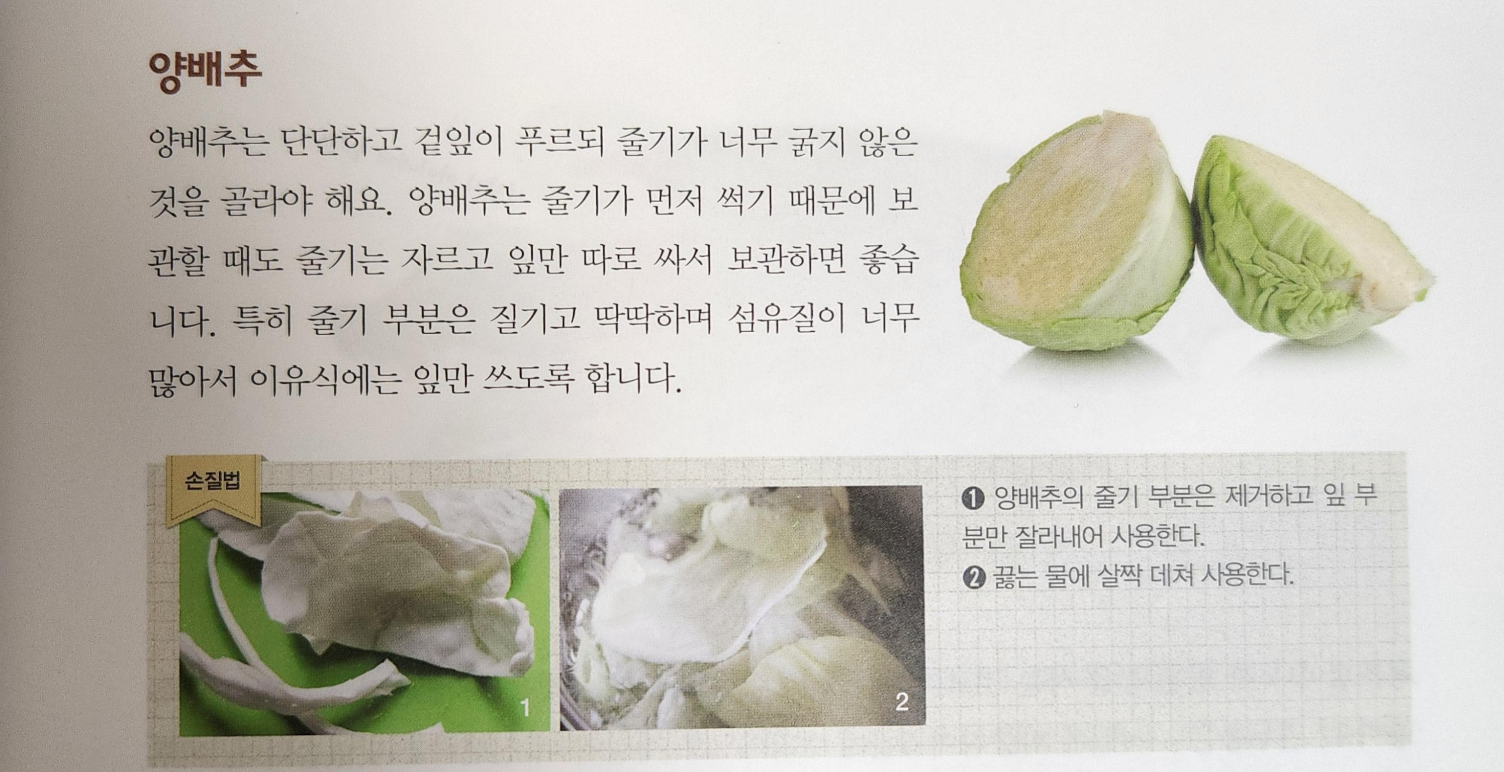 초기이유식 양배추고르는법