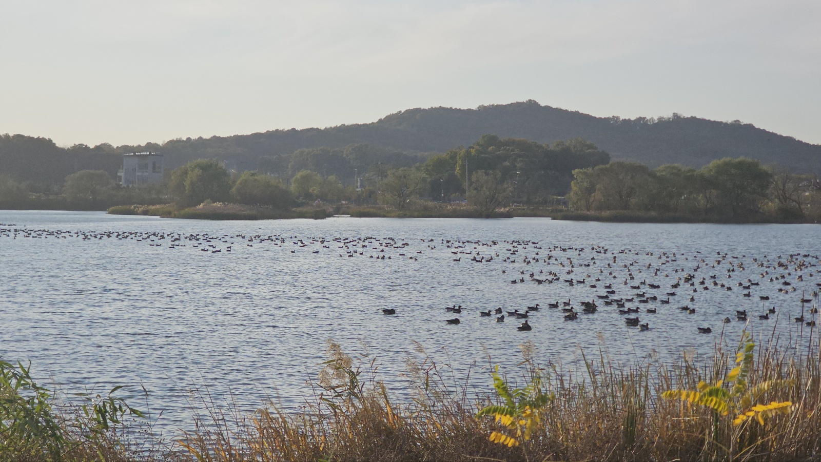 의왕레일바이크