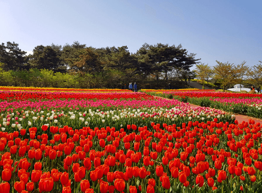 6월 경기도 가볼만한 여행지 추천