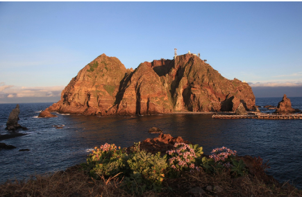 울릉도 2박 3일 일정 – 섬 속의 섬에서 보내는 고요한 여름