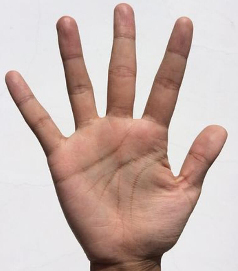 남자 손금 보는 법