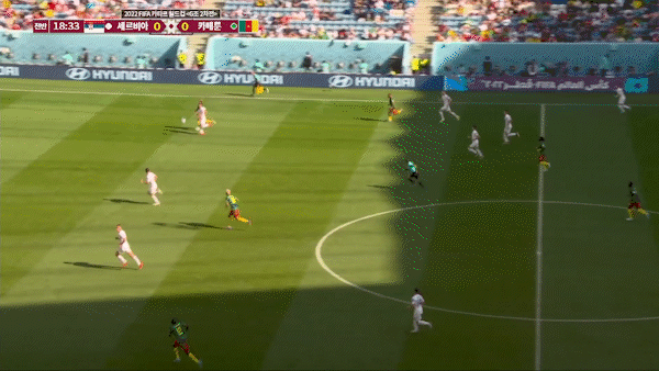 반격하는 카메룬