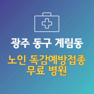 광주 동구 계림동 노인 독감예방접종 무료 병원 (인플루엔자 무료 접종 대상 날짜)