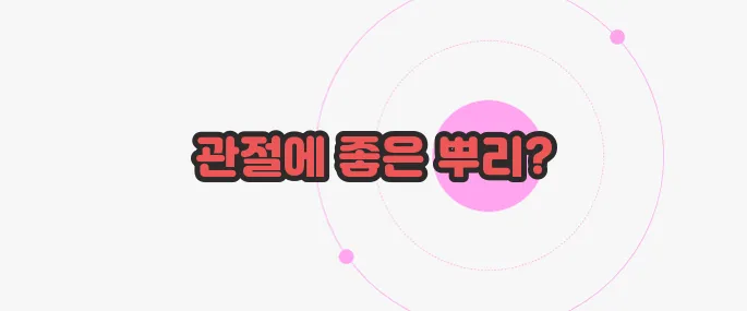 우슬 효능 한번 정확하게 알아보도록 하죠