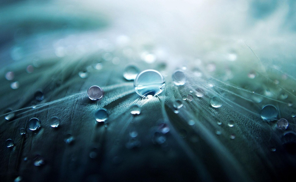 장마철 추천 감성 영화 관련 사진