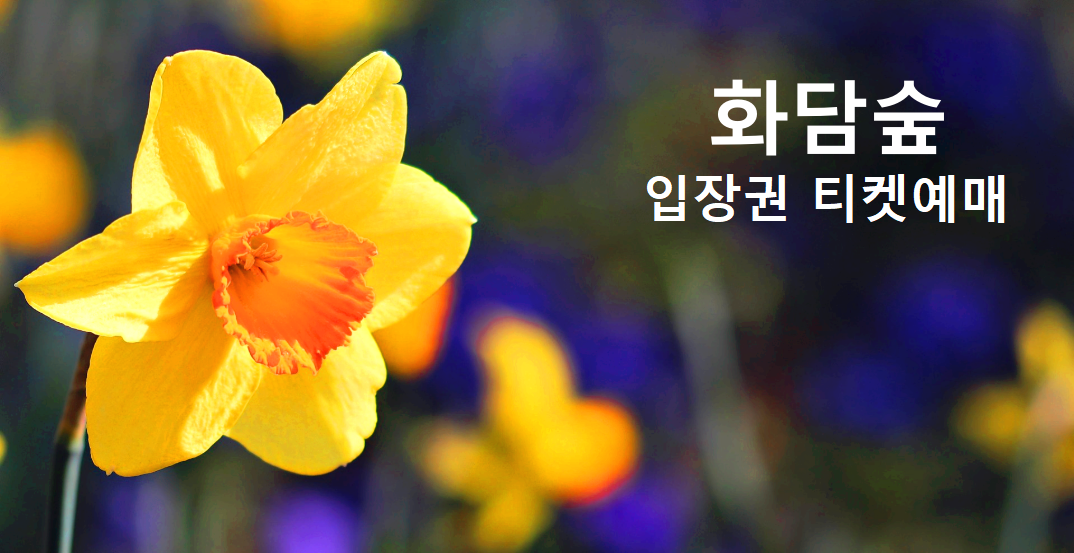 화담숲
