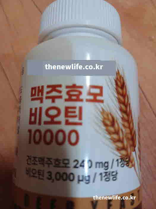 탈모 좋은 음식 맥주효모