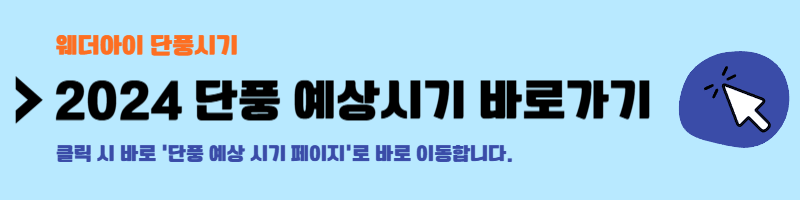 가을 여행하기 좋은 곳