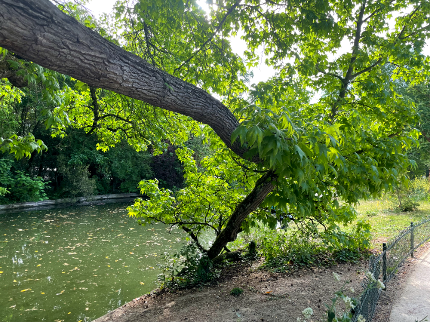 보르도 식물원(Jardin Public)