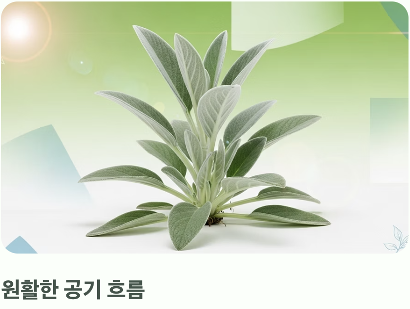 실수 둘: 답답한 환경, '통풍' 불량