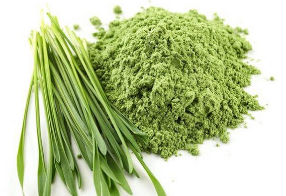 새싹보리 효능3