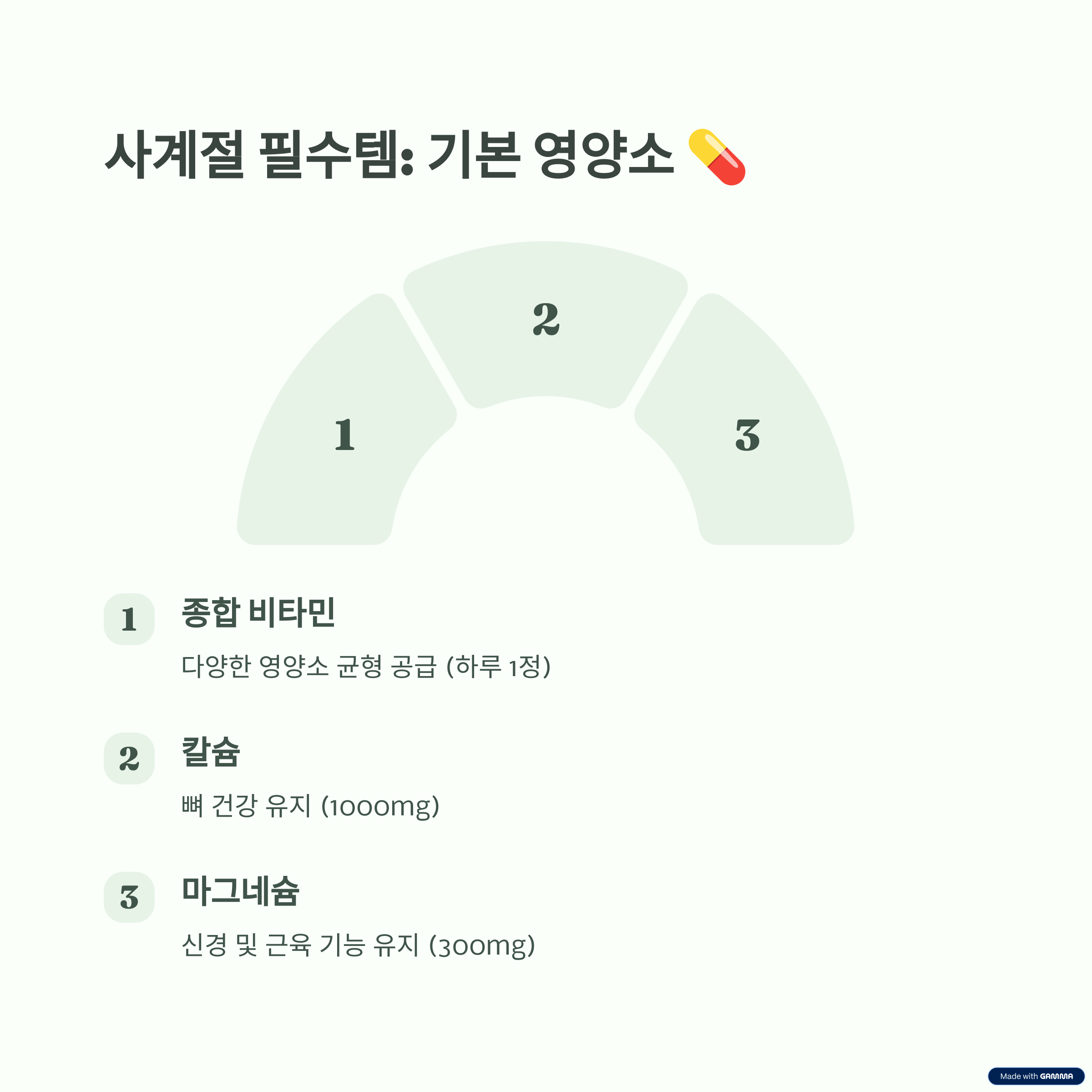 건강 보조식품 정리 7