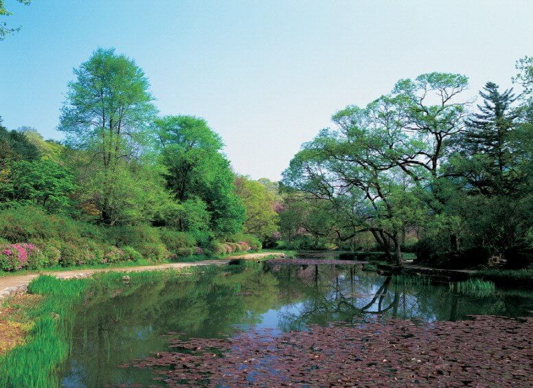 포천 광릉수목원! 숨겨진 힐링 명소, 포천 광릉수목원 완전 정복