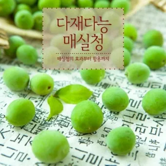 매실청 건더기 활용 처리 방법 정리_29