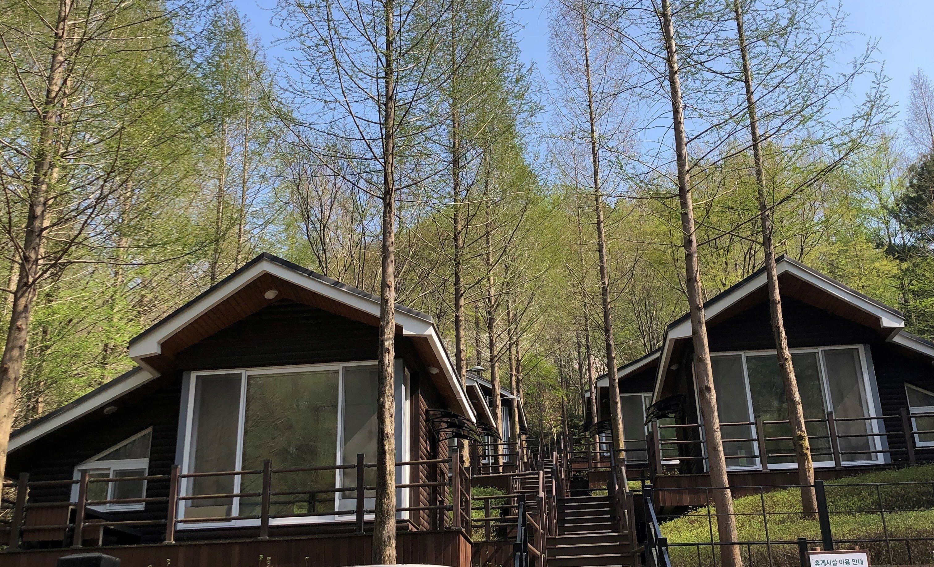 장태산 자연휴양림