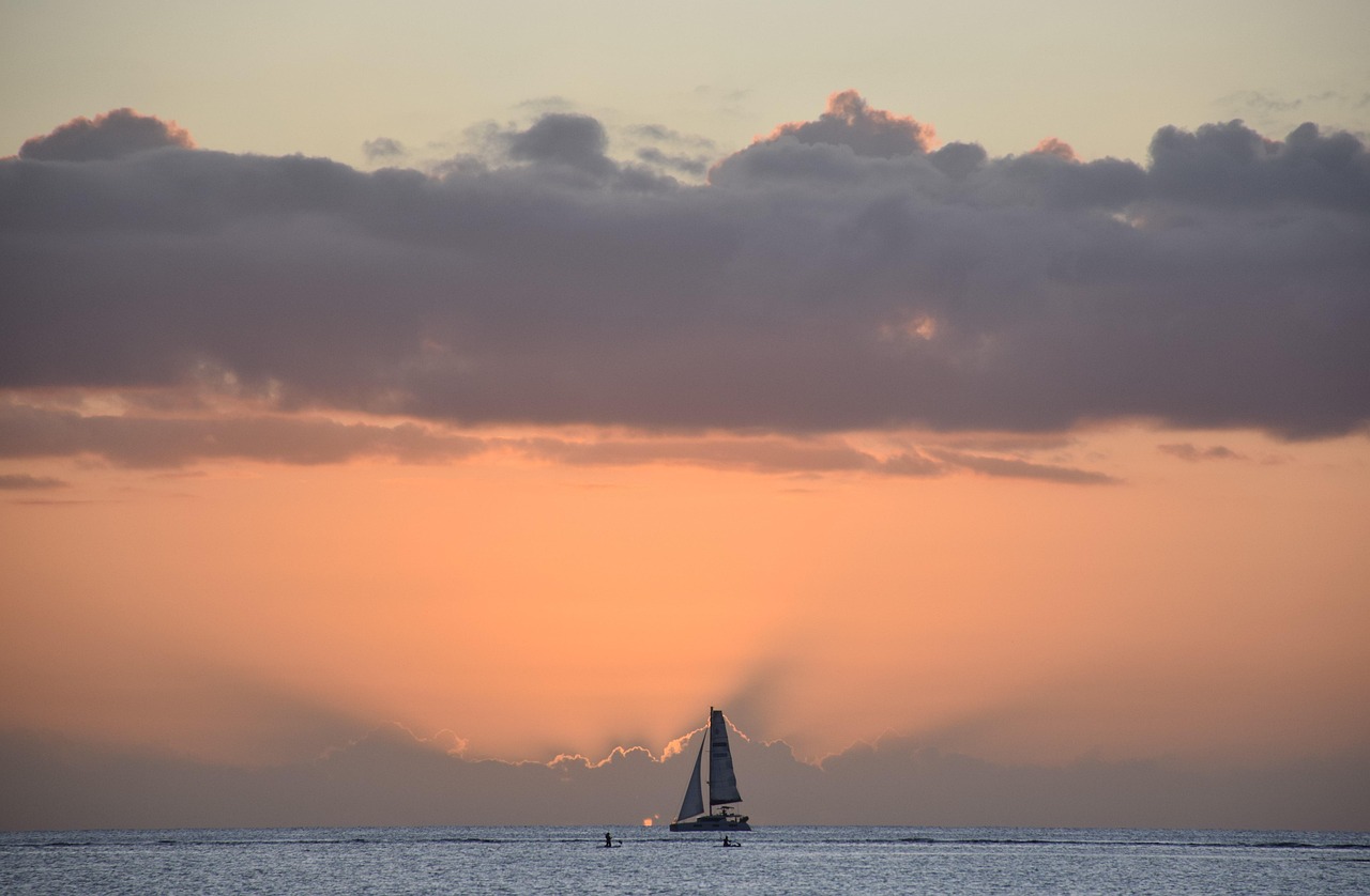 치매 자가진단 체크리스트