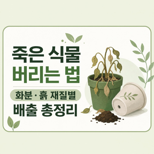 죽은 식물과 화분 흙 버리는 방법을 안내하는 썸네일 이미지