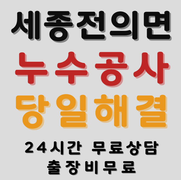 전의면 아파트1