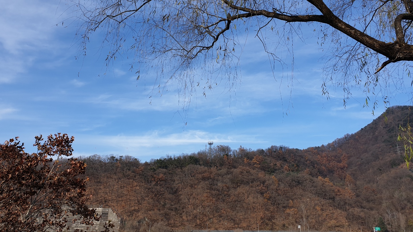 대청호 근처 공원에서