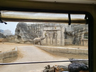 에버랜드 스마트줄서기