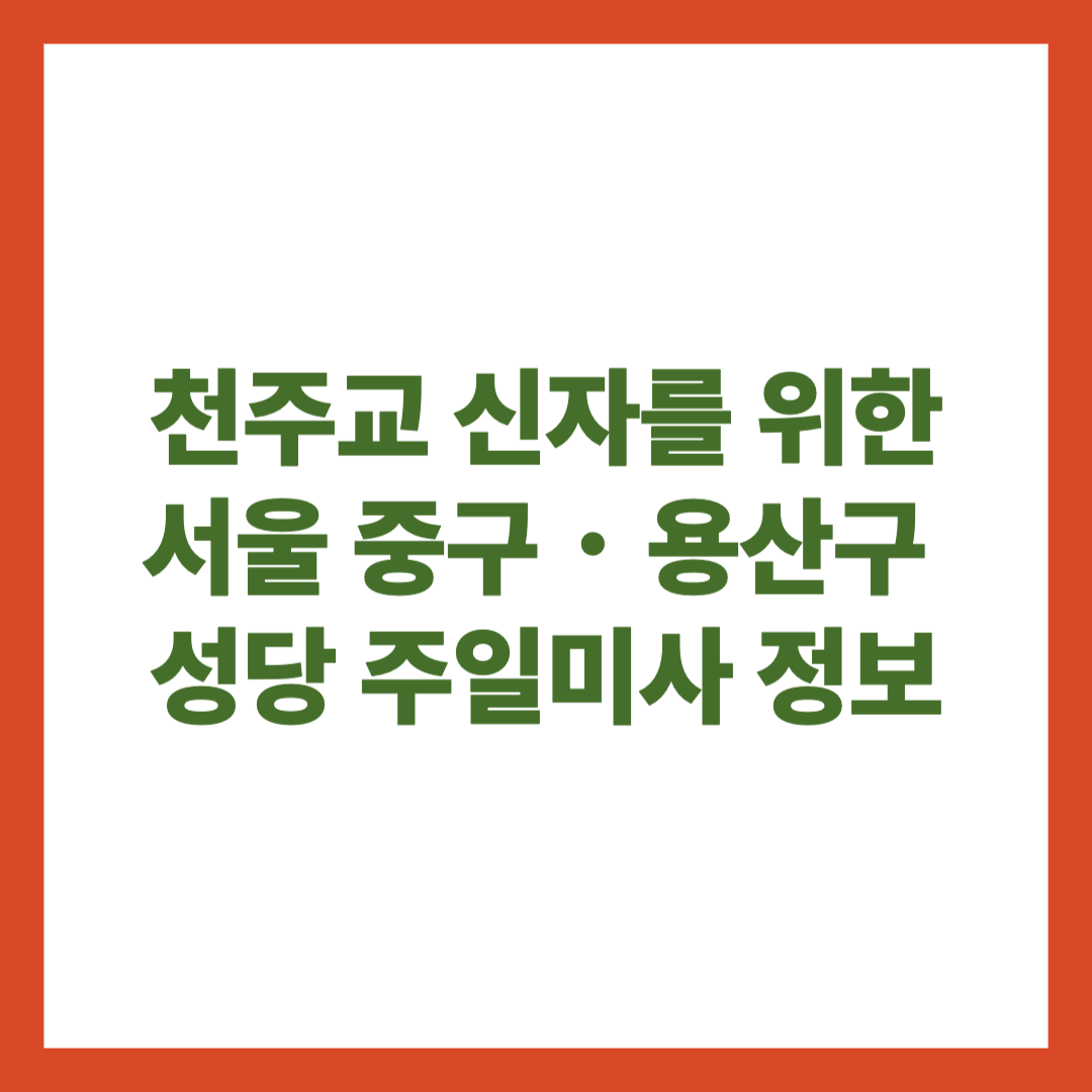 천주교 신자를 위한 서울 중구 용산구 성당 주일미사 정보
