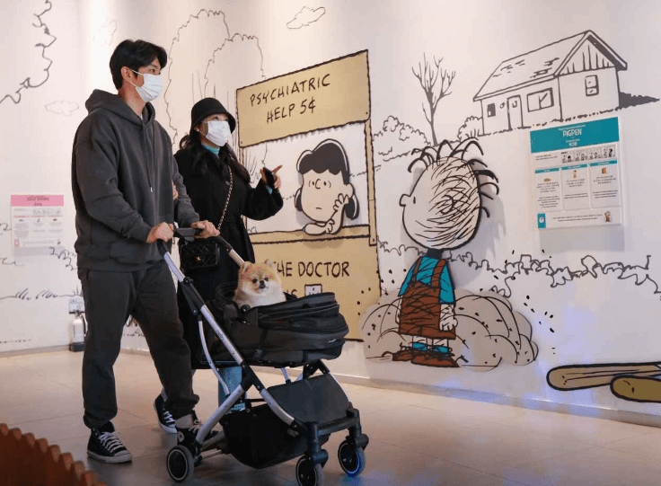 비올때 아이와 함께 제주도 실내 가볼만한곳 top3(동쪽,서쪽)