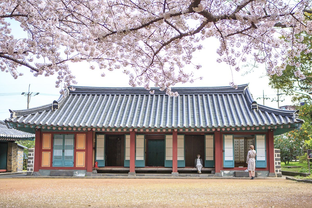 국내 벚꽃 명소 일본 벚꽃 명소