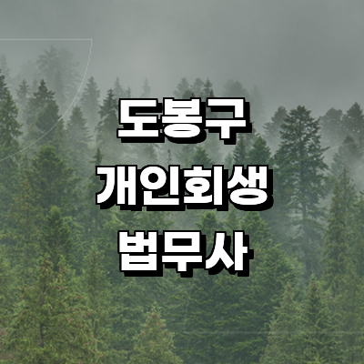 서울 도봉구 개인회생 법무사