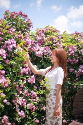곡성 가볼만한곳 베스트10 기차마을 섬진강길 카페 산책_17