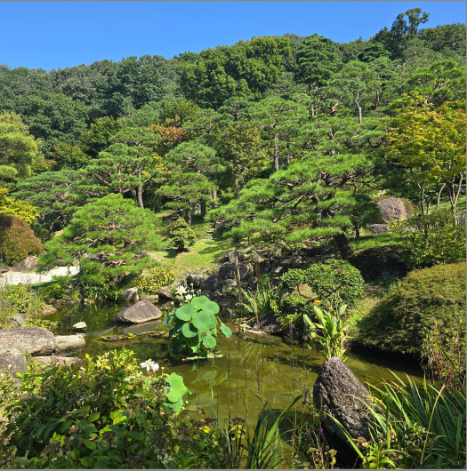 화담숲 모노레일 예약방법