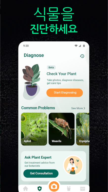 꽃 이름 찾기 어플, 앱에서 식물과 꽃 이름 무료 찾기