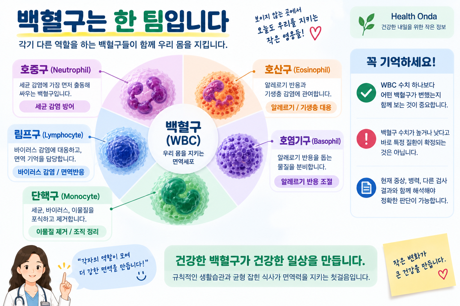 호중구 비율과 절대호중구수를 설명하는 그림