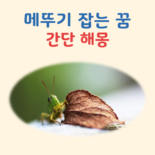 메뚜기 잡는 꿈해몽 대표 이미지