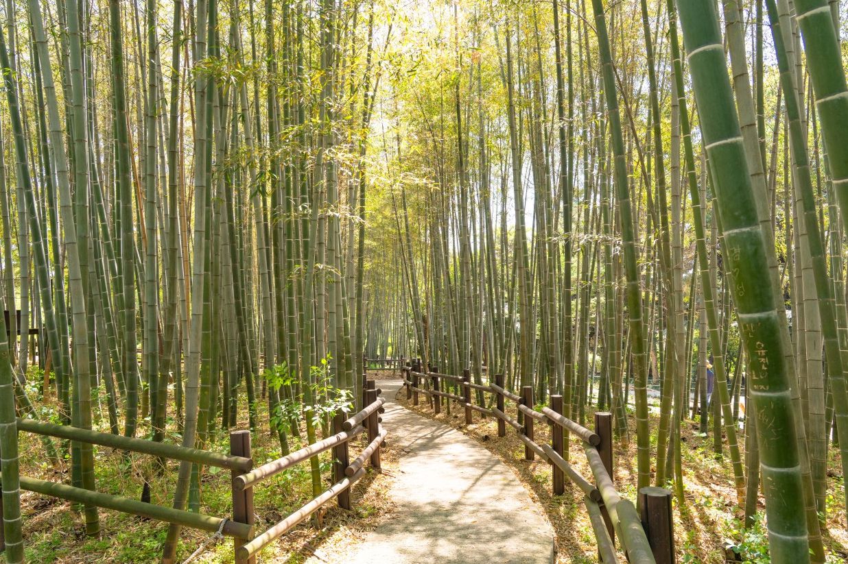 한국도로공사 전주수목원
