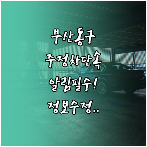 부산 동구 주정차 단속 문자 알림 신..