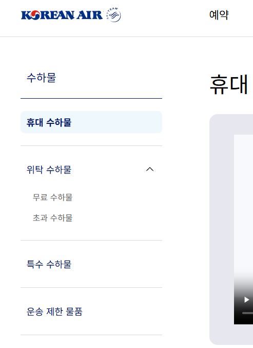 비행기 기내 반입 금지 가능 물품