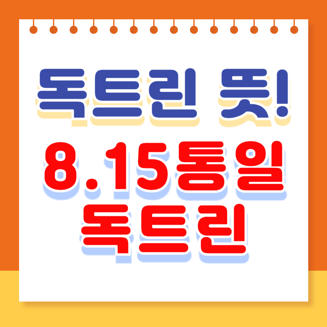 독트린 뜻 8.15통일 독트린